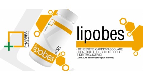 LIPOBES